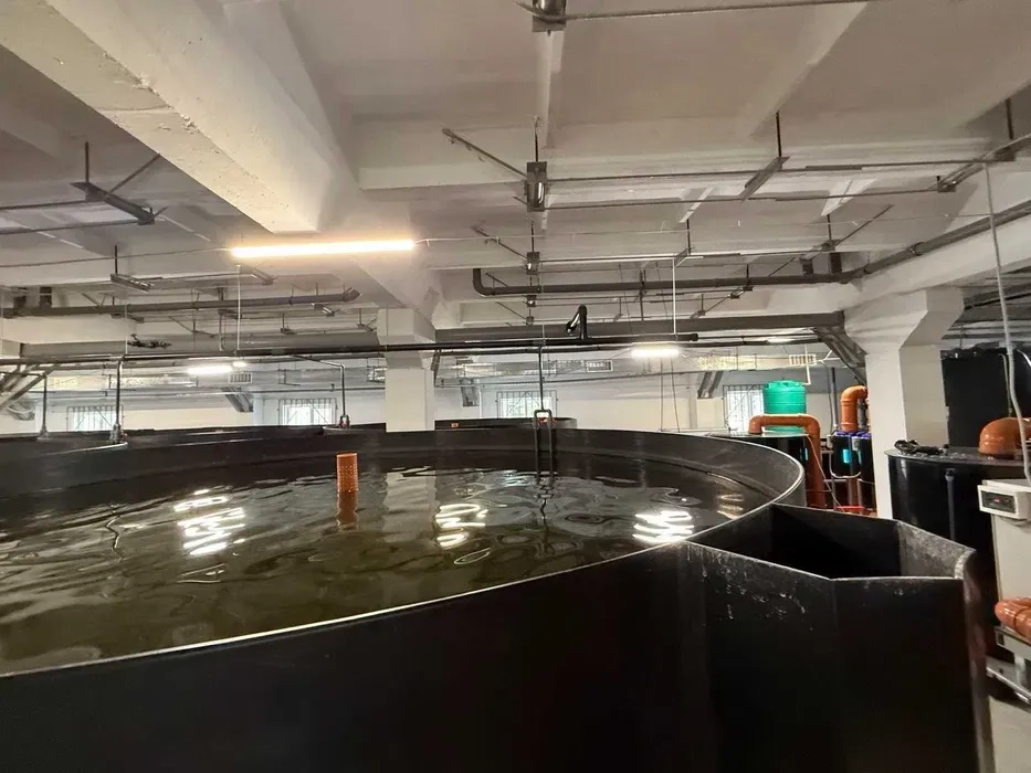 Будівництво УЗВ під ключ — комплексні рішення для рибоводства