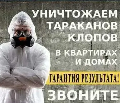 Знищення тараканів. Отруїти вивести тарганів клопів.