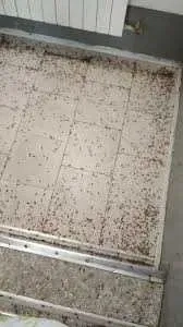 Знищення тараканів. Отруїти вивести тарганів клопів.