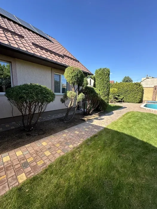 Фігурна стрижка, догляд та формування хвойних рослин