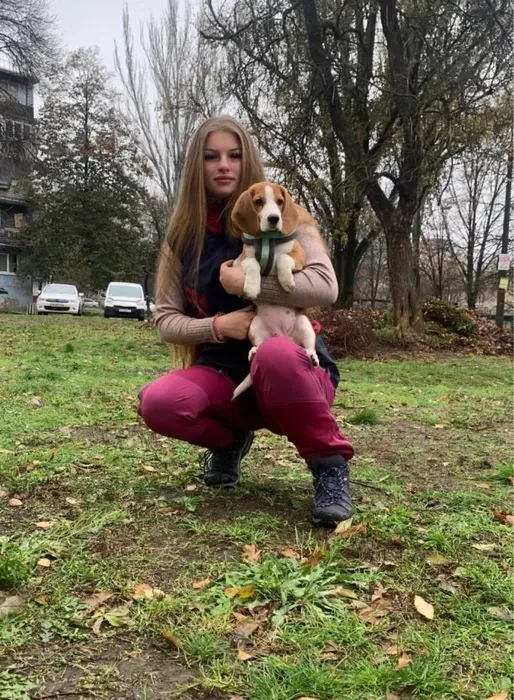 Кінолог Дресування собак від 500 грн