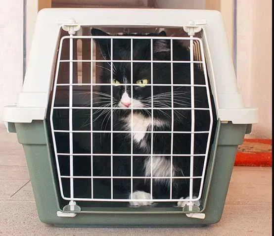 Переноски клітки бокси для собак і кішок