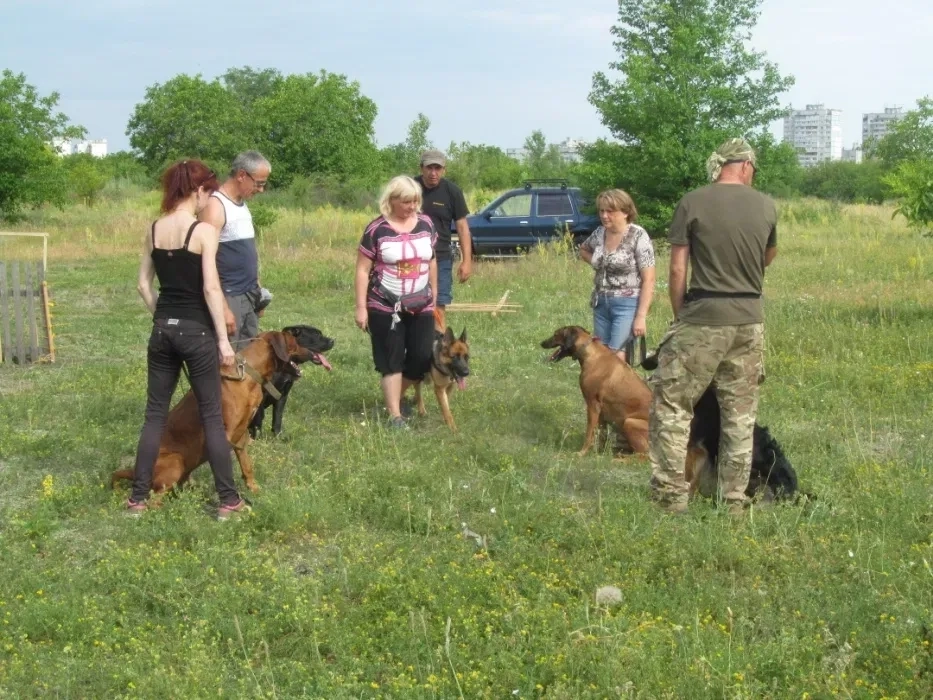 Дресирування собак будь-яких порід — корекція поведінки та навчання