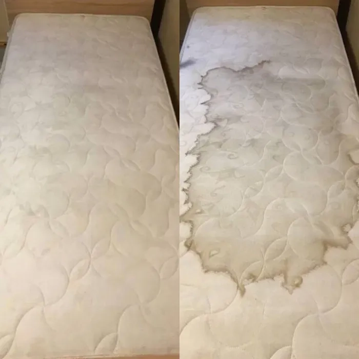 Чистка меблів Рівне, Хімчистка, прання