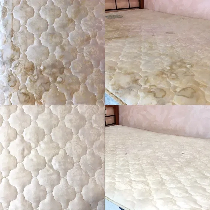 Чистка меблів Рівне, Хімчистка, прання