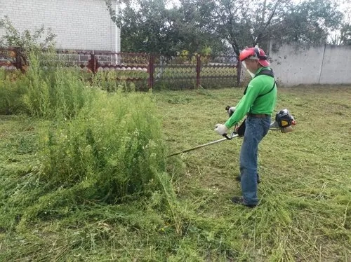 Послуги Покіс трави