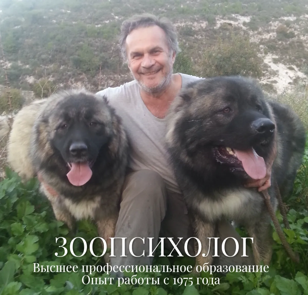 Кінолог. Зоопсихолог. Дресирування собак. Корекція поведінки. Онлайн.