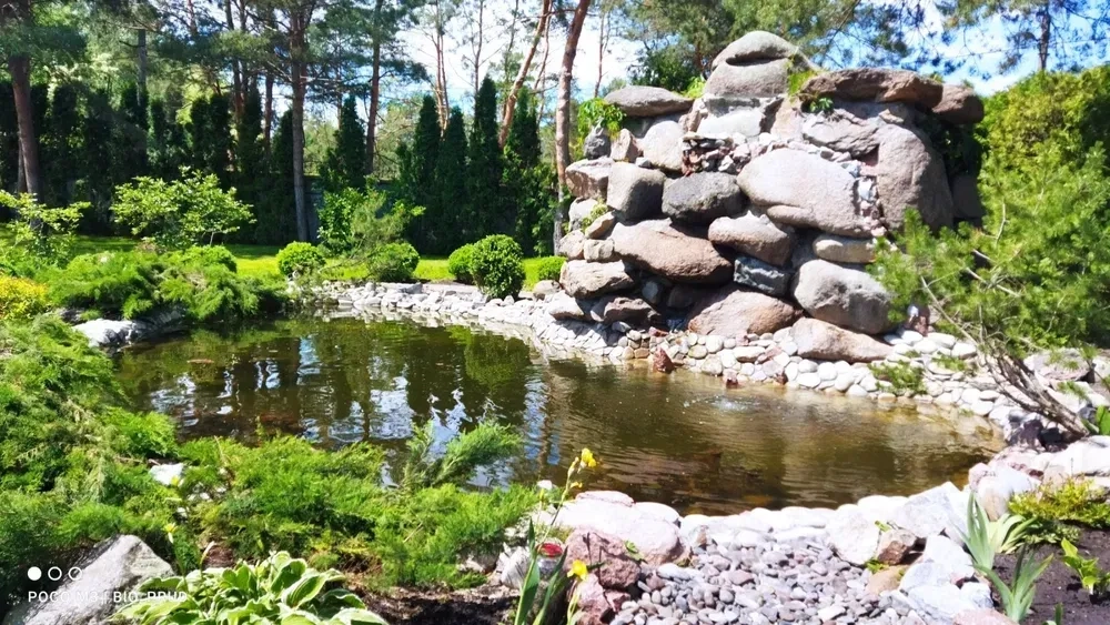 Будівництво та обслуговування декоративних озер під ключ