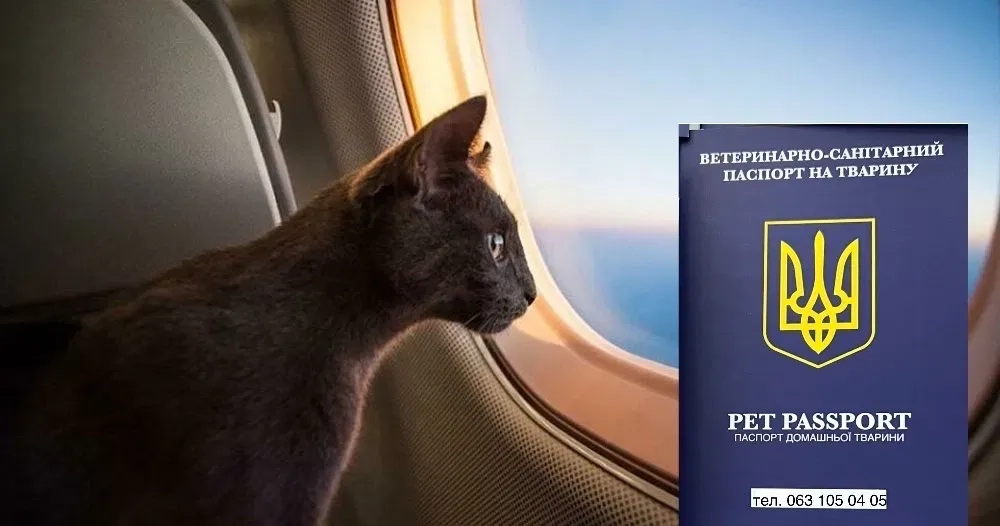 Термінові документи для тварин закордон