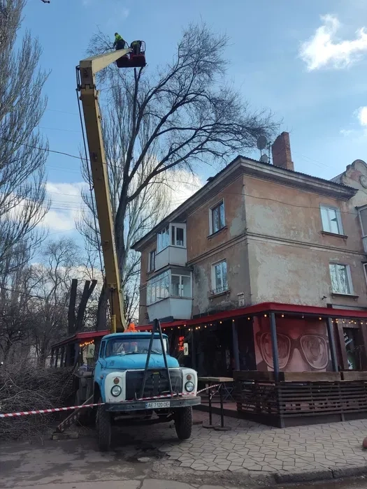 Професійна обрізка та спил дерев | Автовишка або арборист | Гарантія