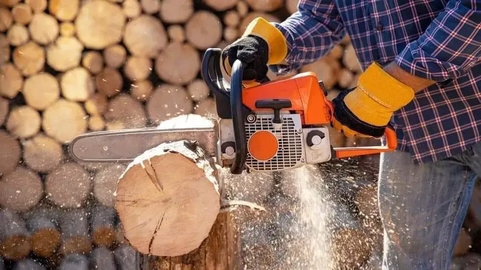 Спил деревьев любой сложности БЕСПЛАТНО