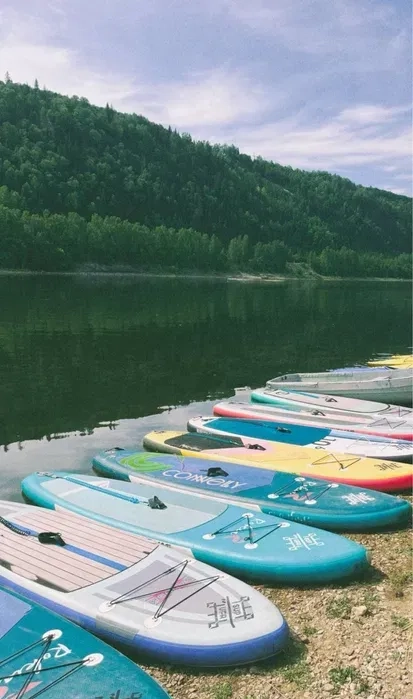 Сап борди, Житомир