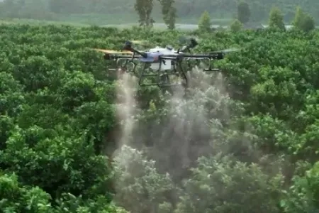 Послуги агродронів (DJI Agras)