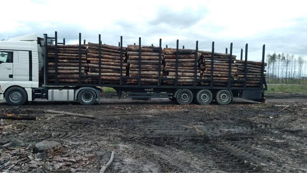 Лісовоза-сортиментовоза послуги