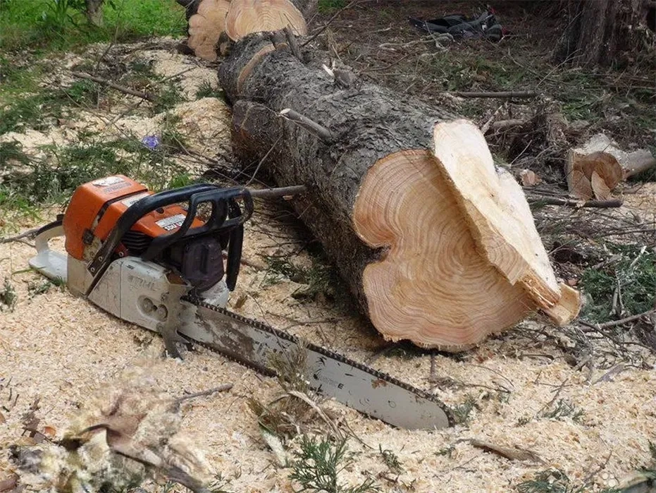 Спил дерев будь-якої складності!
