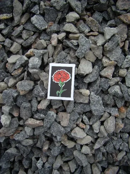 Вывоз мусора, доставка бетон, щебень, раствор, отсев.