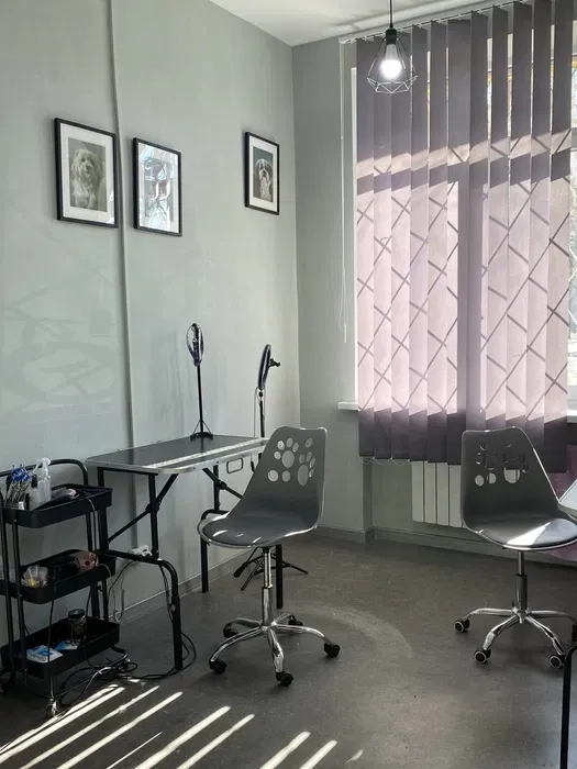 Стрижка собак та котів Дніпро Лівий берег. Грумінг Дніпро