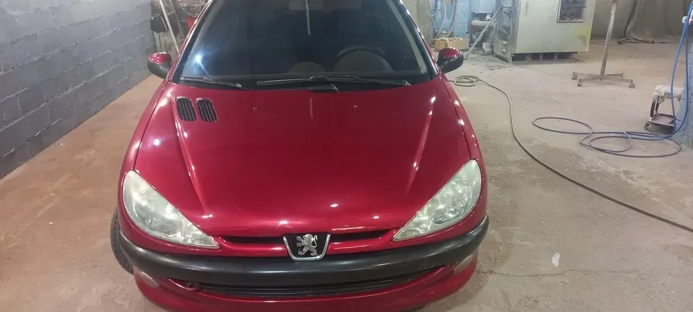 Експрес Фарбування авто. Черкаси.