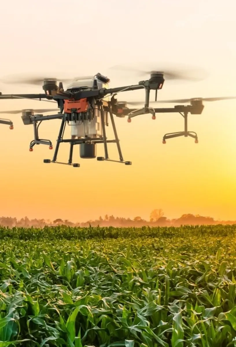 Професійна десикація посівів агродроном