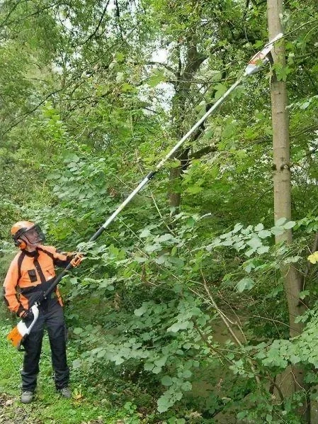 Спил деревьев и мешающих веток Высоторезом,омоложение, распил на дрова