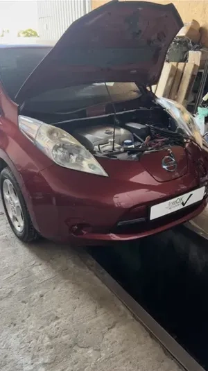 Ремонт та встановлення автономок на Nissan Leaf та інші електрички