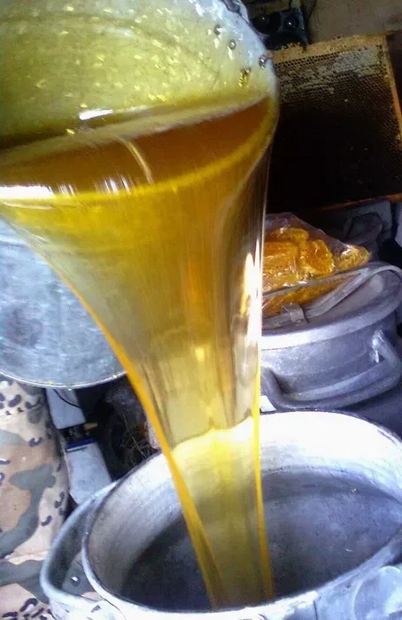 Полтава, відпрацьована олія після фритюру, 38 грн.