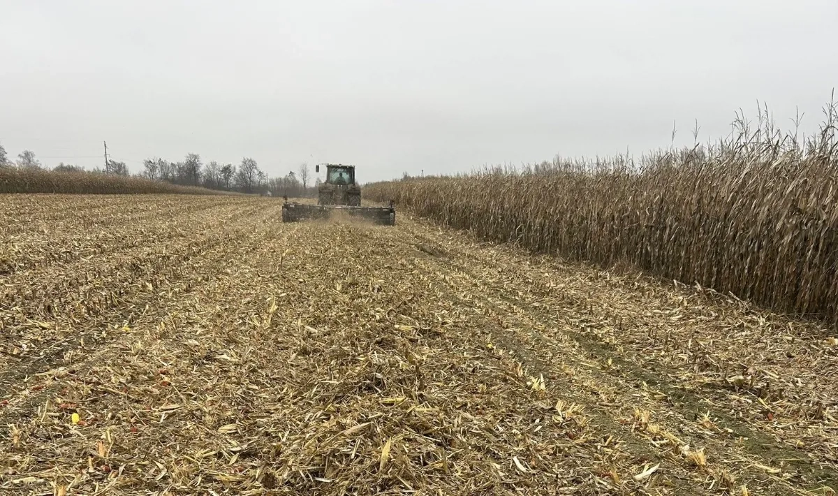 Мульчер професійний для подрібнення рослинності