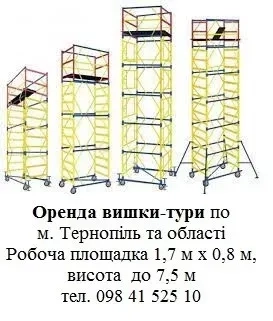 Вишка Тура професійна