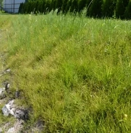 Укріплення схилів