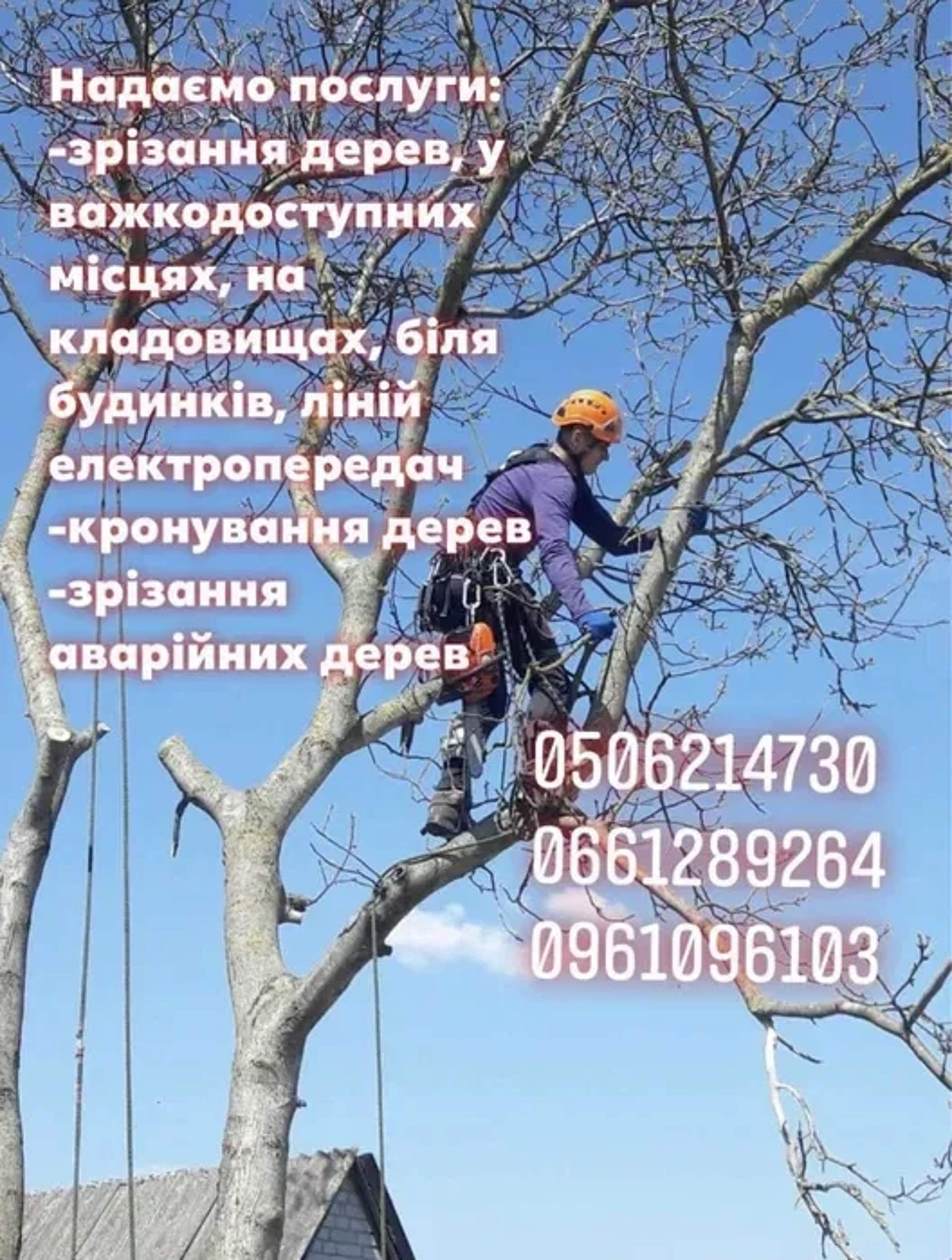 Зрізання спил дерев кронування зрізка