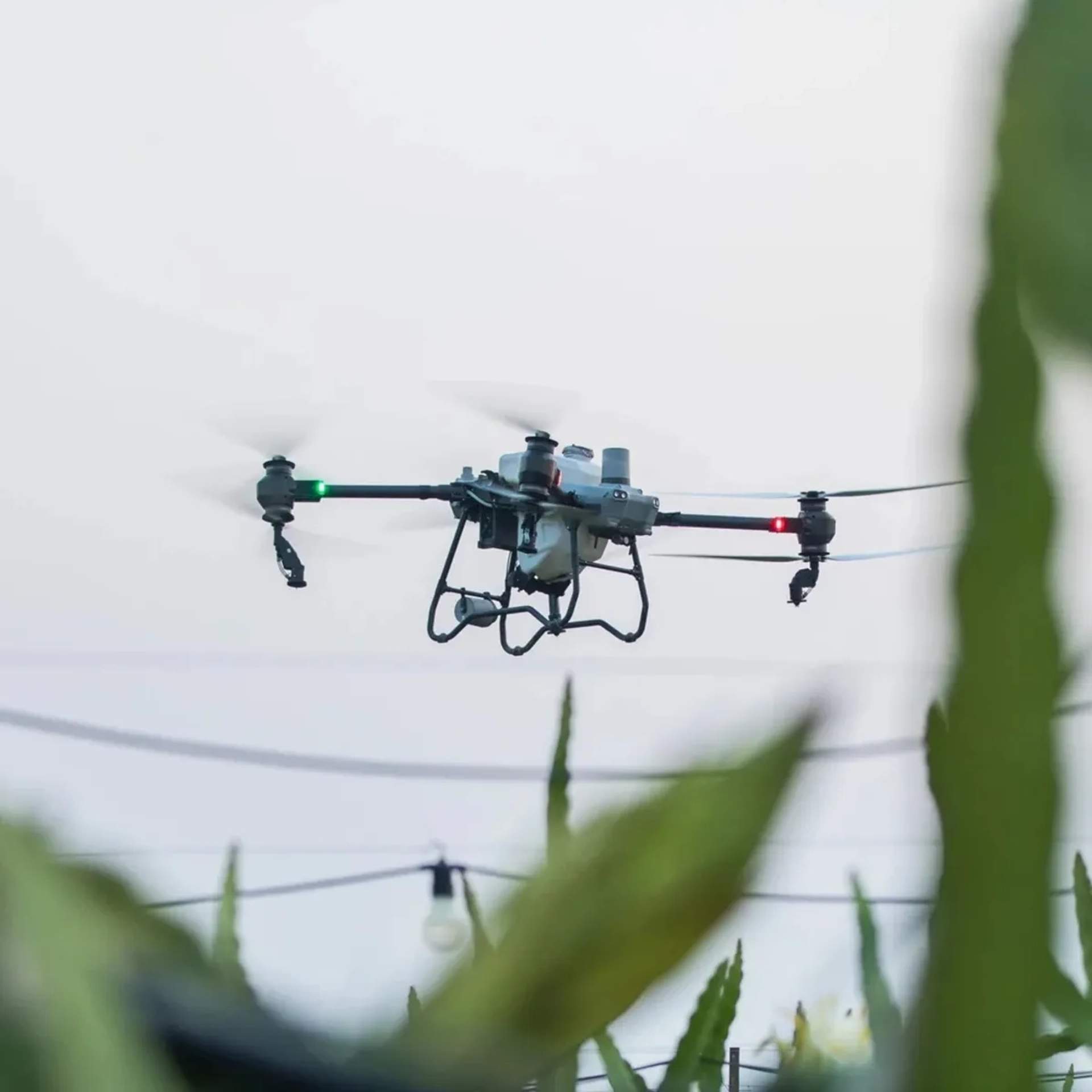 Дрон DJI Agras T50 для обприскування полів