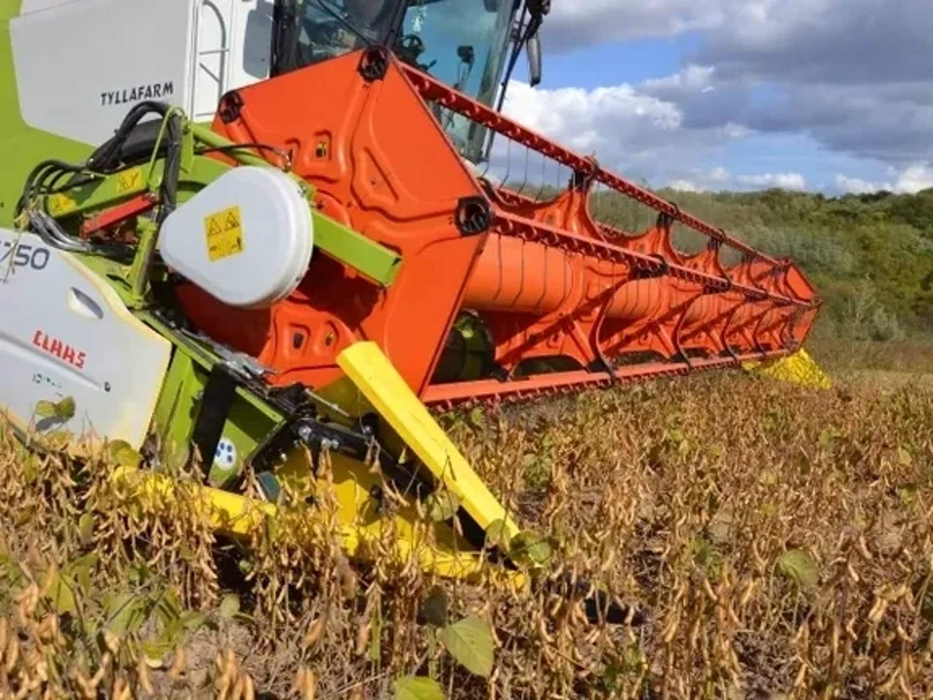 Жниварка CLAAS Vario 750 (803)