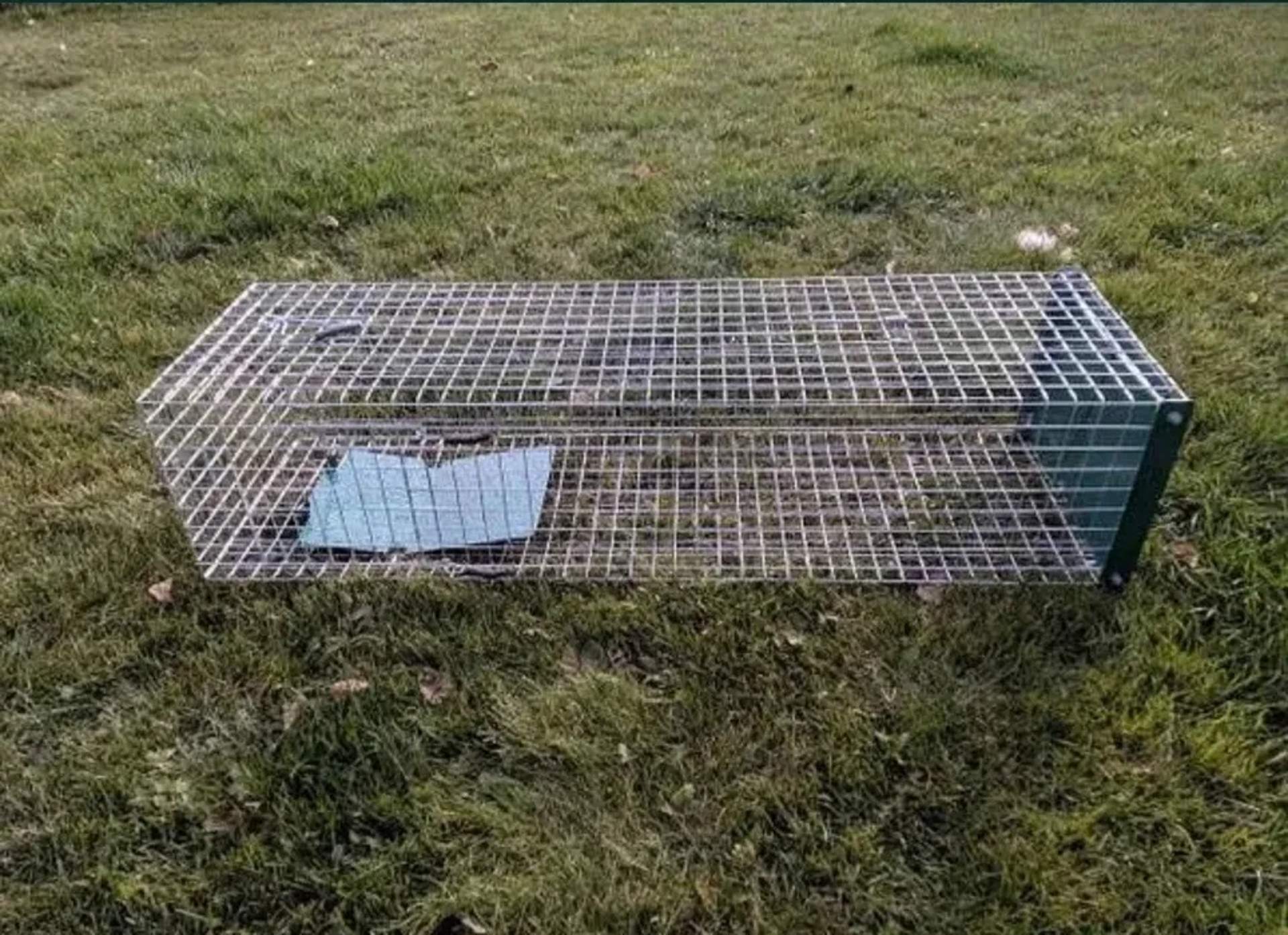 Котоловка, пастка, клітка для відлову котів, живоловка, ловушка