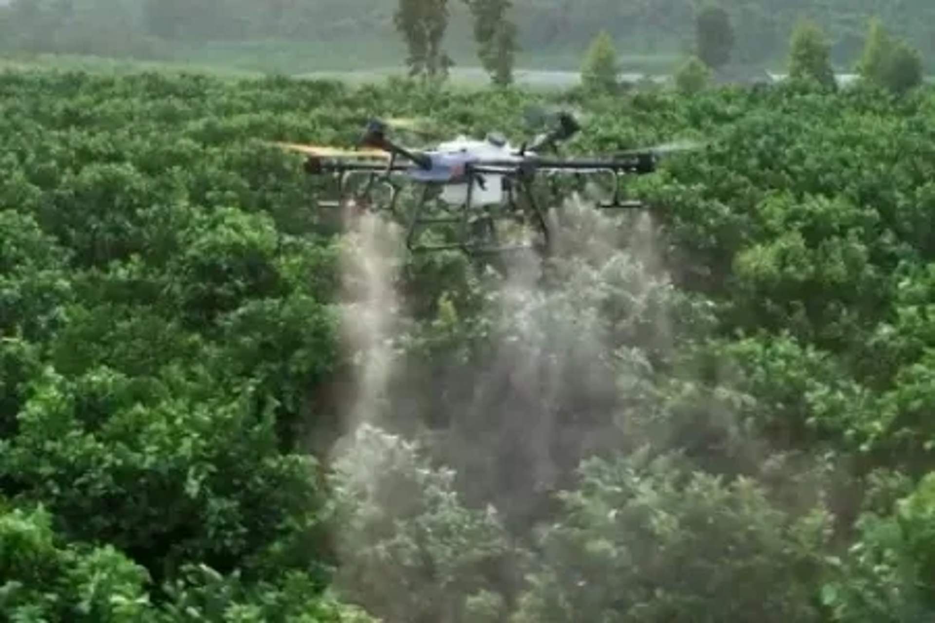 Послуги агродронів (DJI Agras)