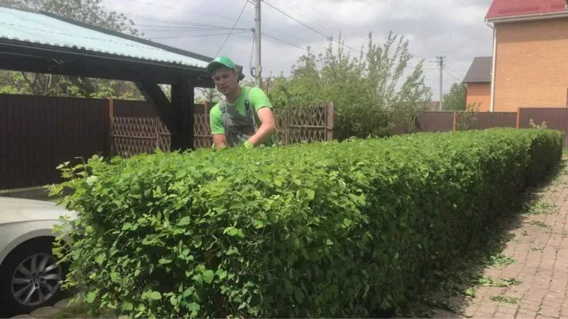 Садівник Обрізка дерев Посадка Рулонний посівний газон