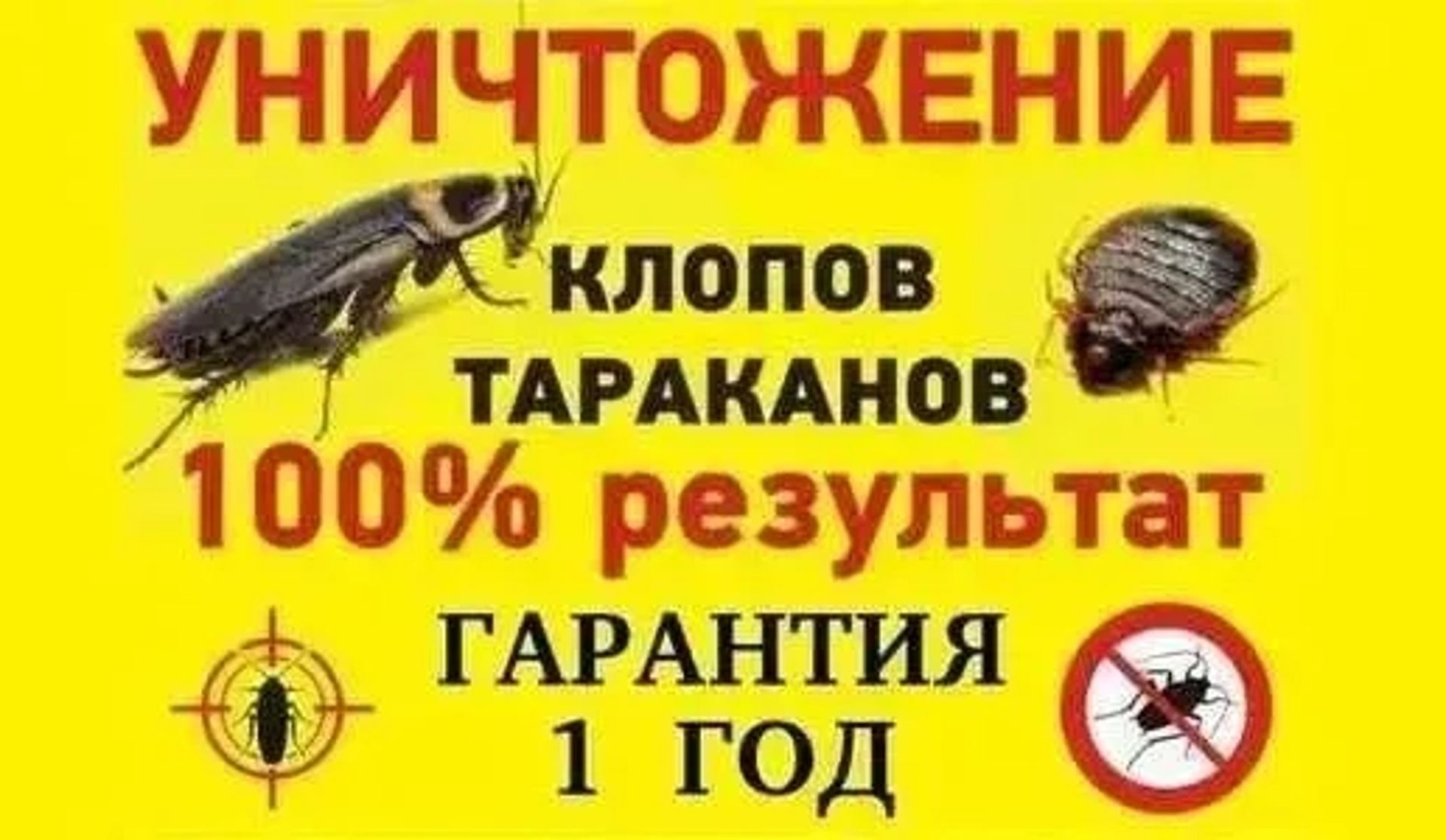 Знищення тарганів клопів труїти вивести бліх клопів тарганів