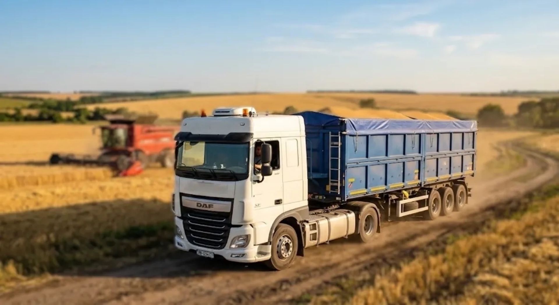 Зерновоз DAF, готовий до роботи