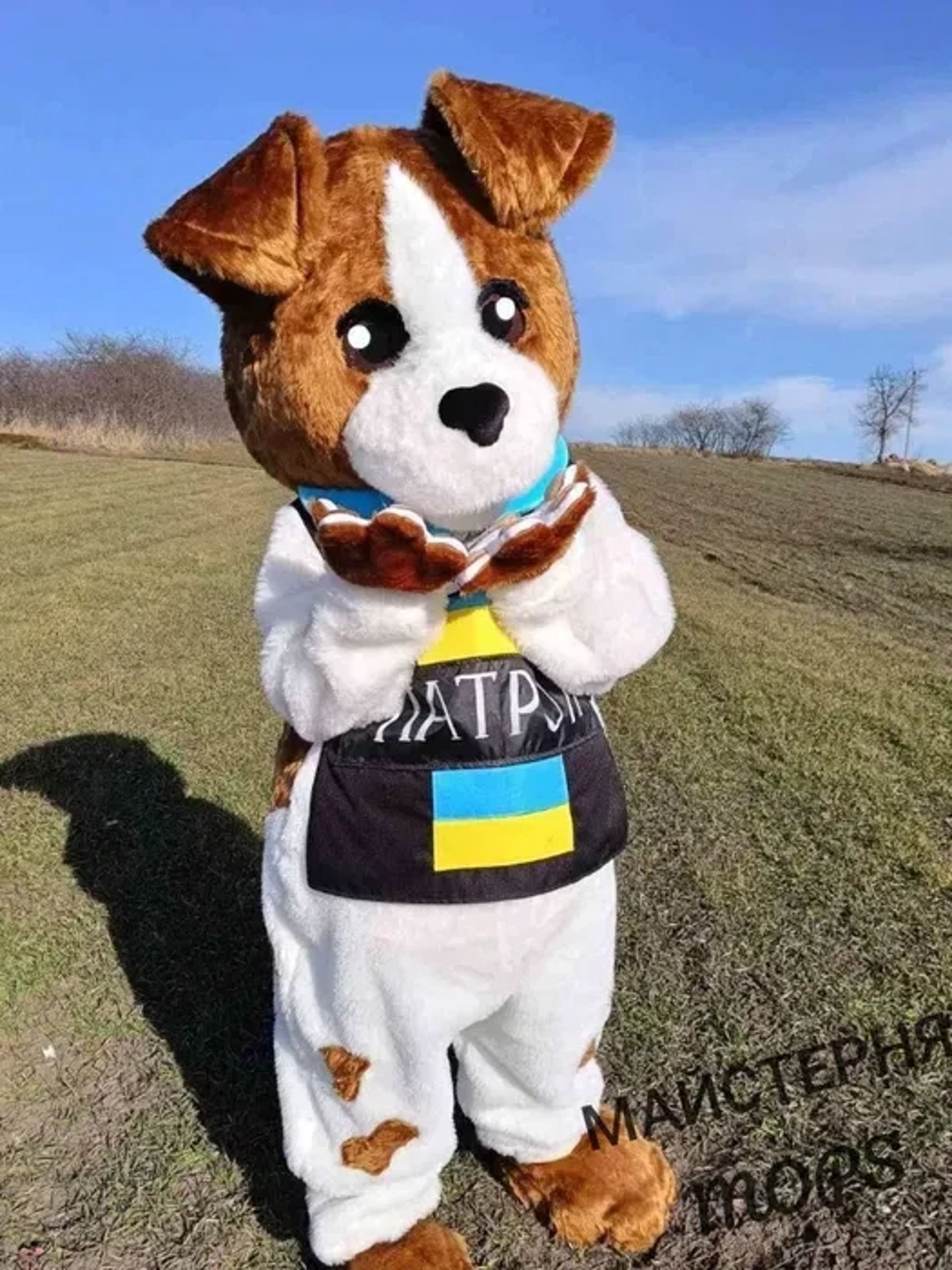 Аніматори Суми — яскраве шоу з Псом Патроном для незабутнього Дня народження від 1000 грн.