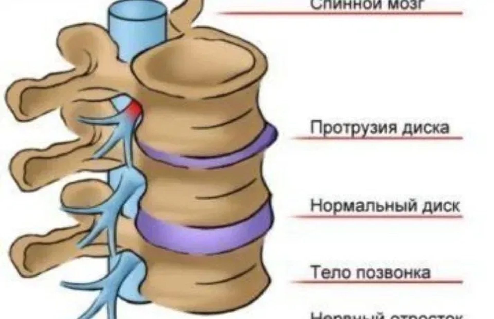 Остеопатія масаж