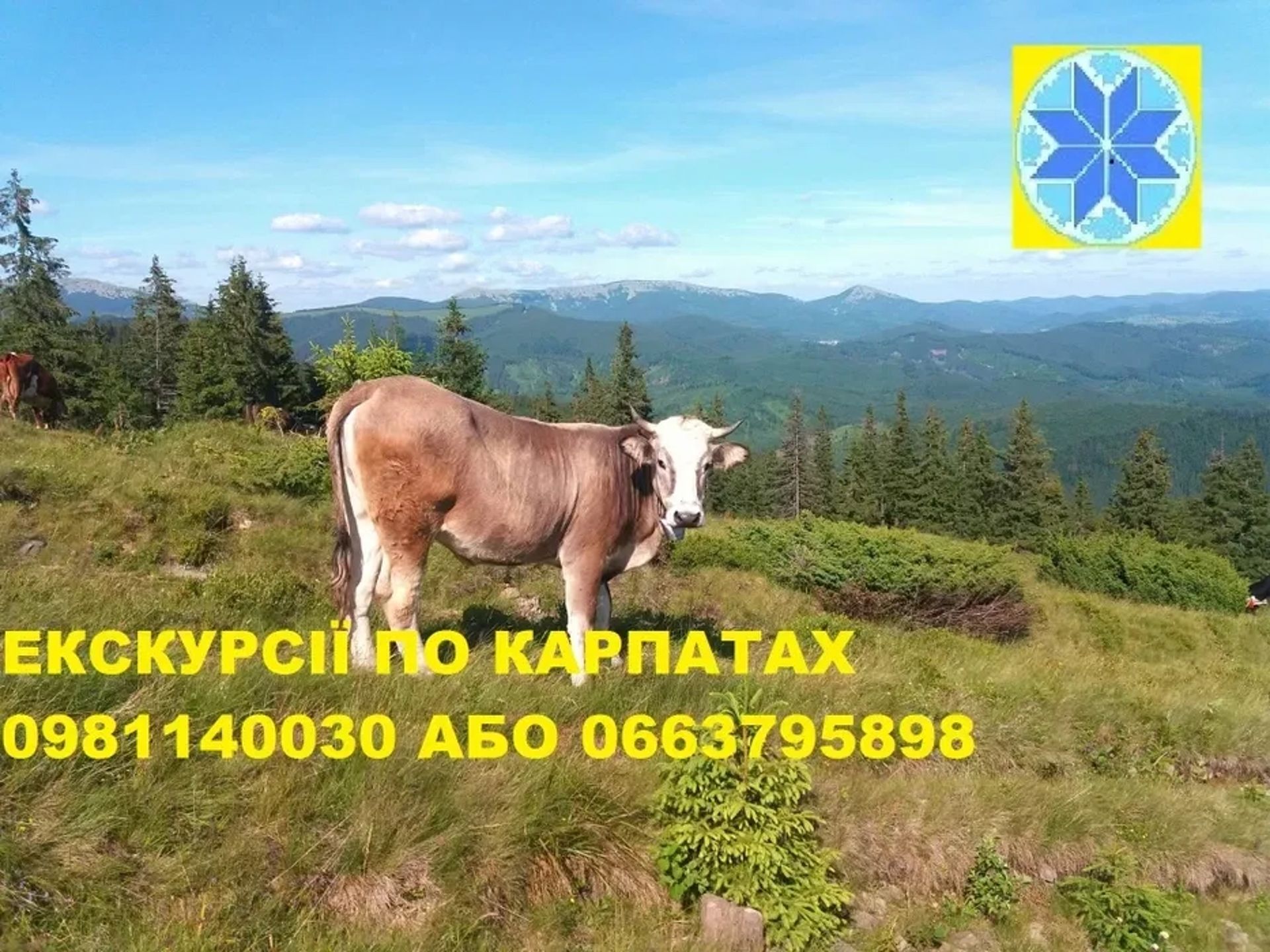 Екскурсії по Карпатах похід в гори/ тури