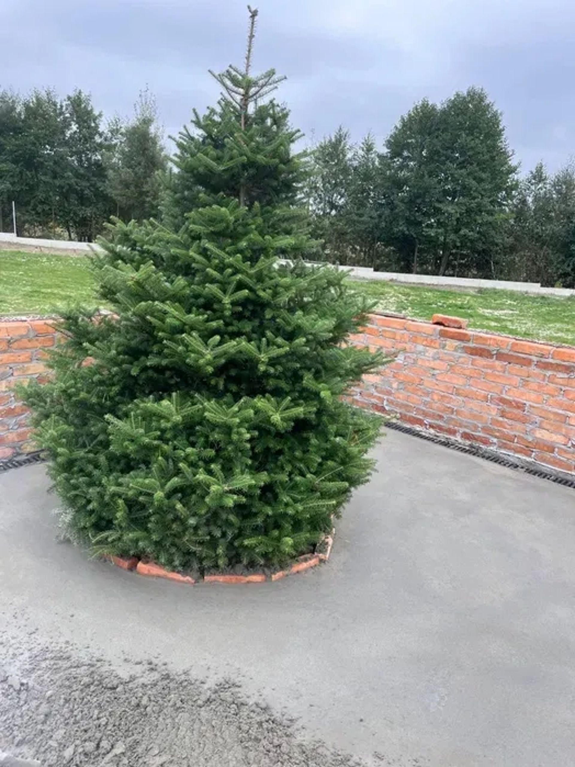 Стяжка підлоги Львів та область