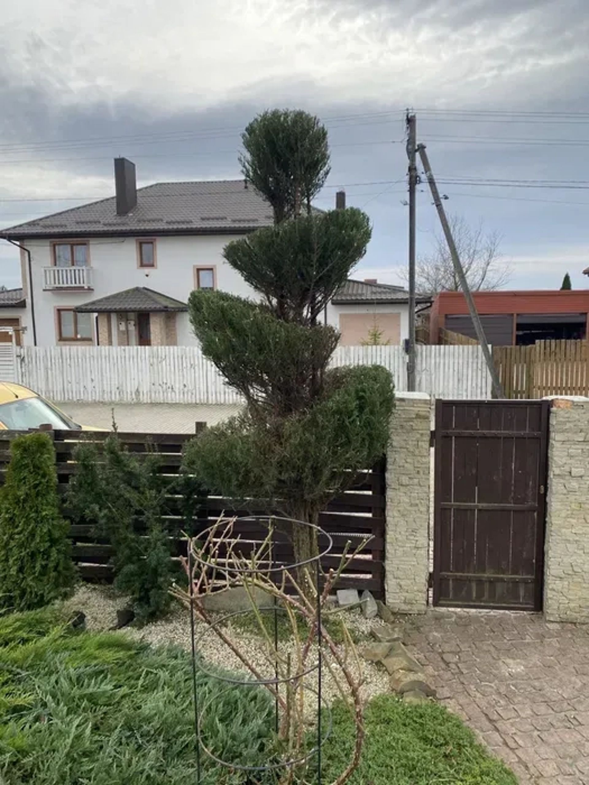 Стрижка туй, живоплотів, кущів та обрізка дерев професійно