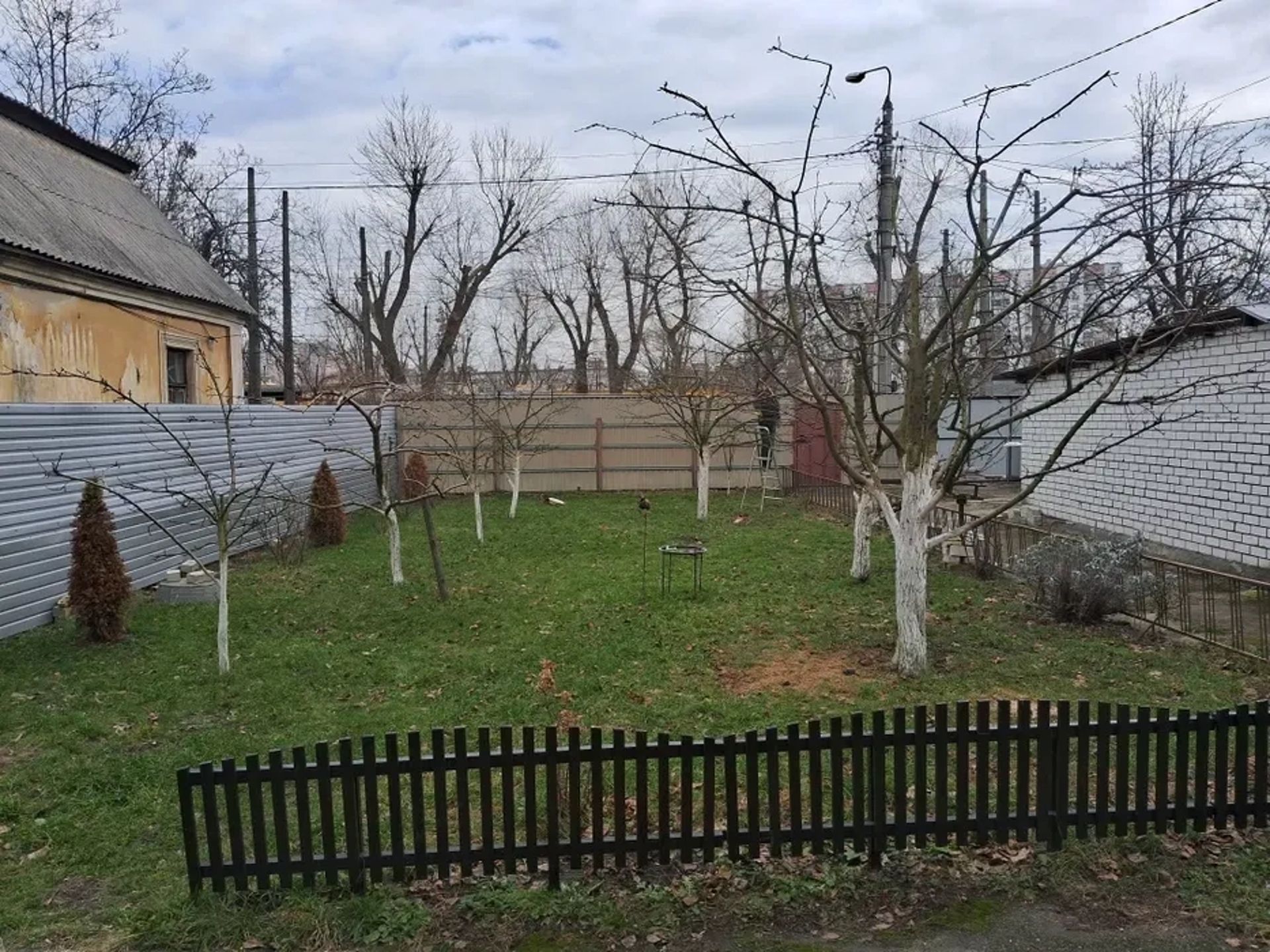 Спил дерев та обрізка саду