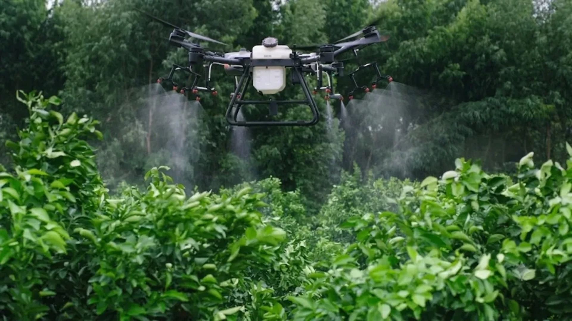 Агродрон DJI Agras T30 для внесення рідких мікродобрив