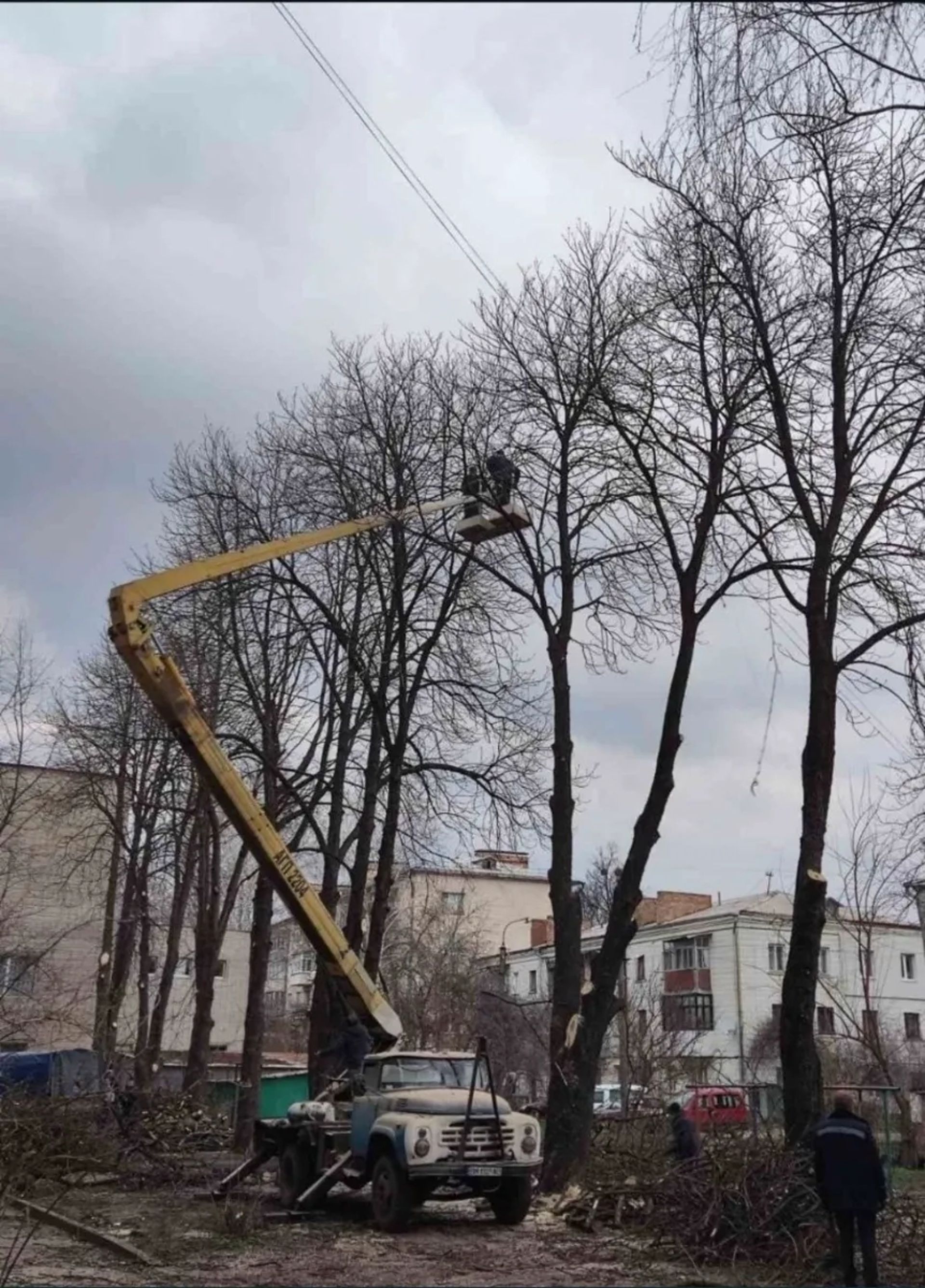 Спил, спилювання, обрізка дерев будь-якої складності