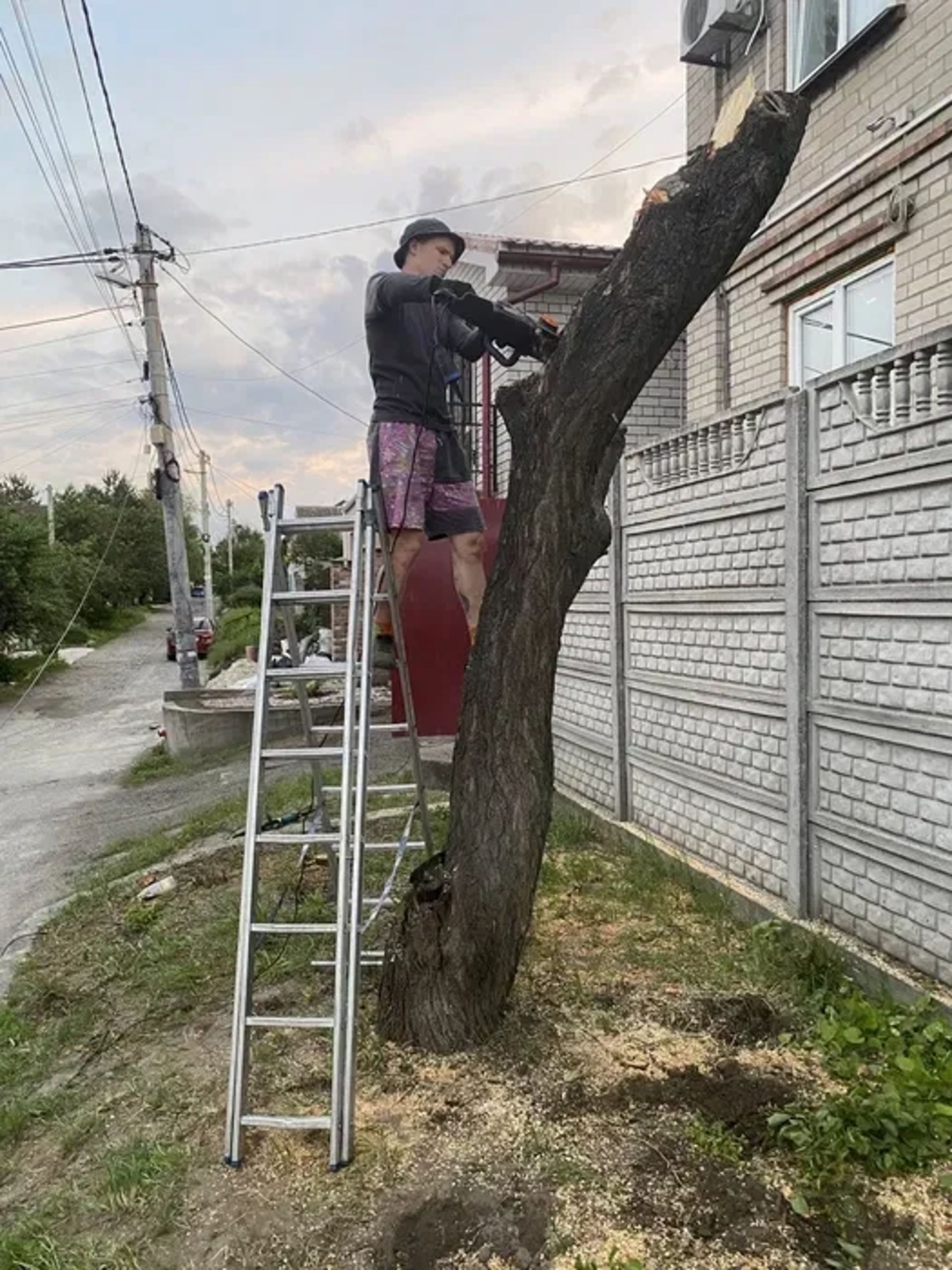 Зрубування дерев,Розпилювання на дрова,Формування крони