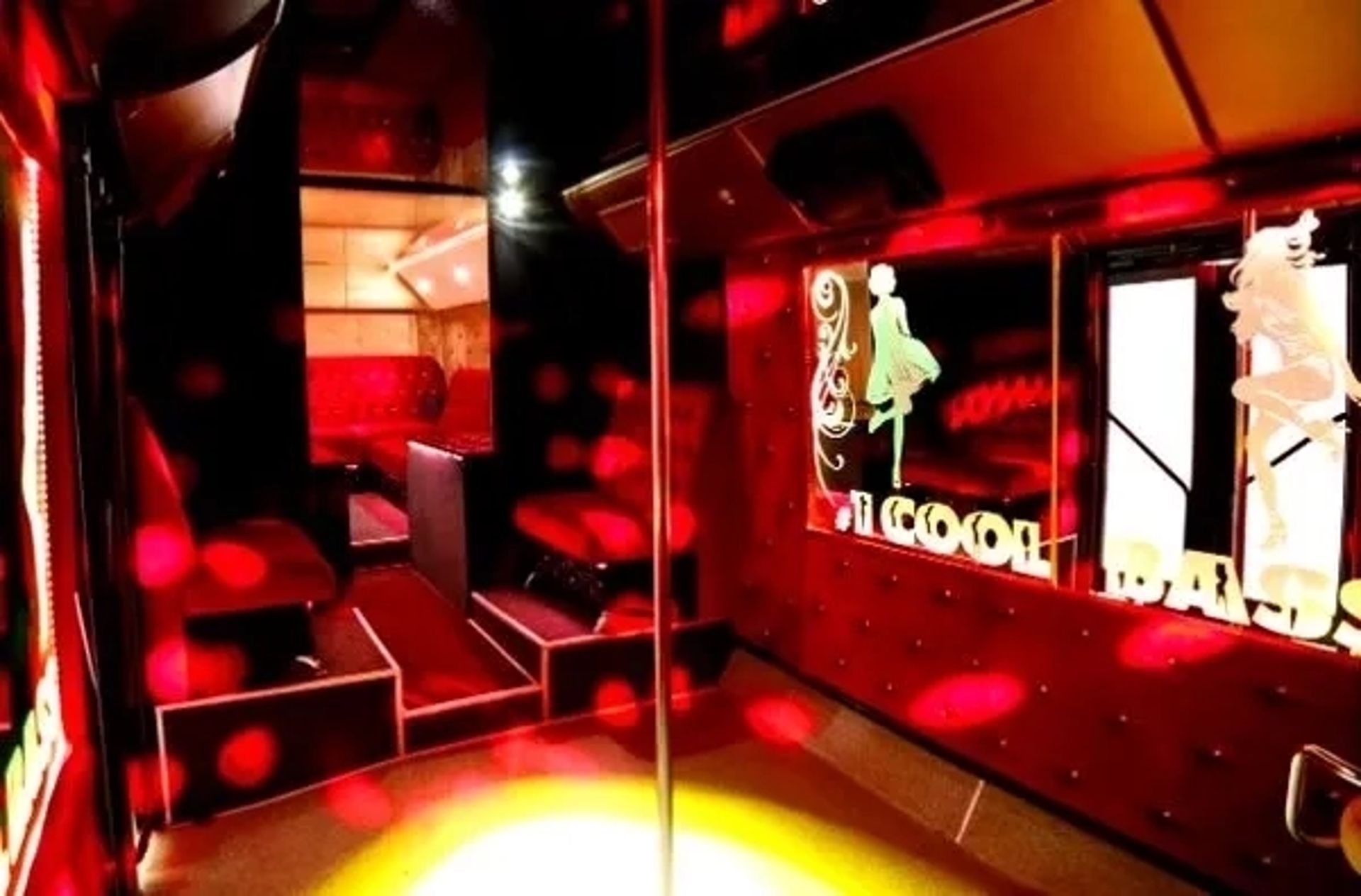369 Party Bus Diamond Party Bus на день народження