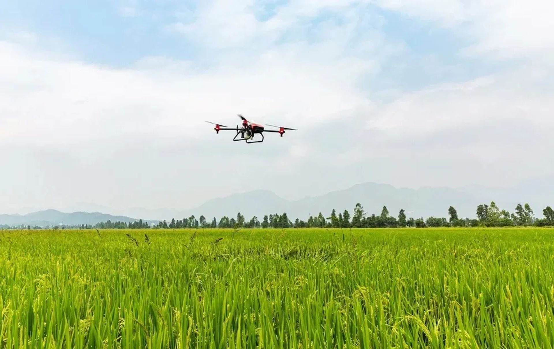 Агродрон DJI Agras T50 для внесення ЗЗР і добрив