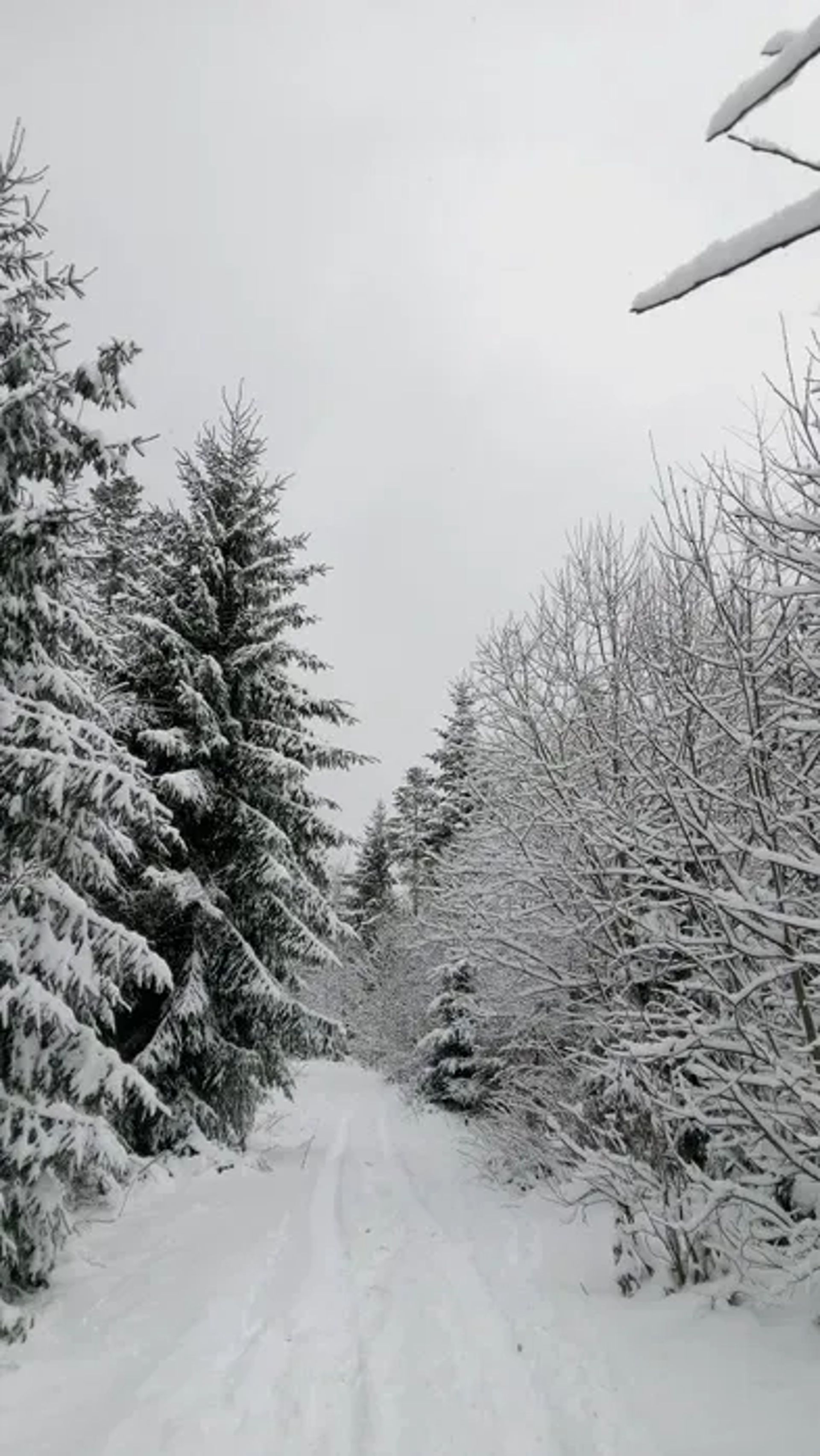Квадроцикли, подорожі в гори.