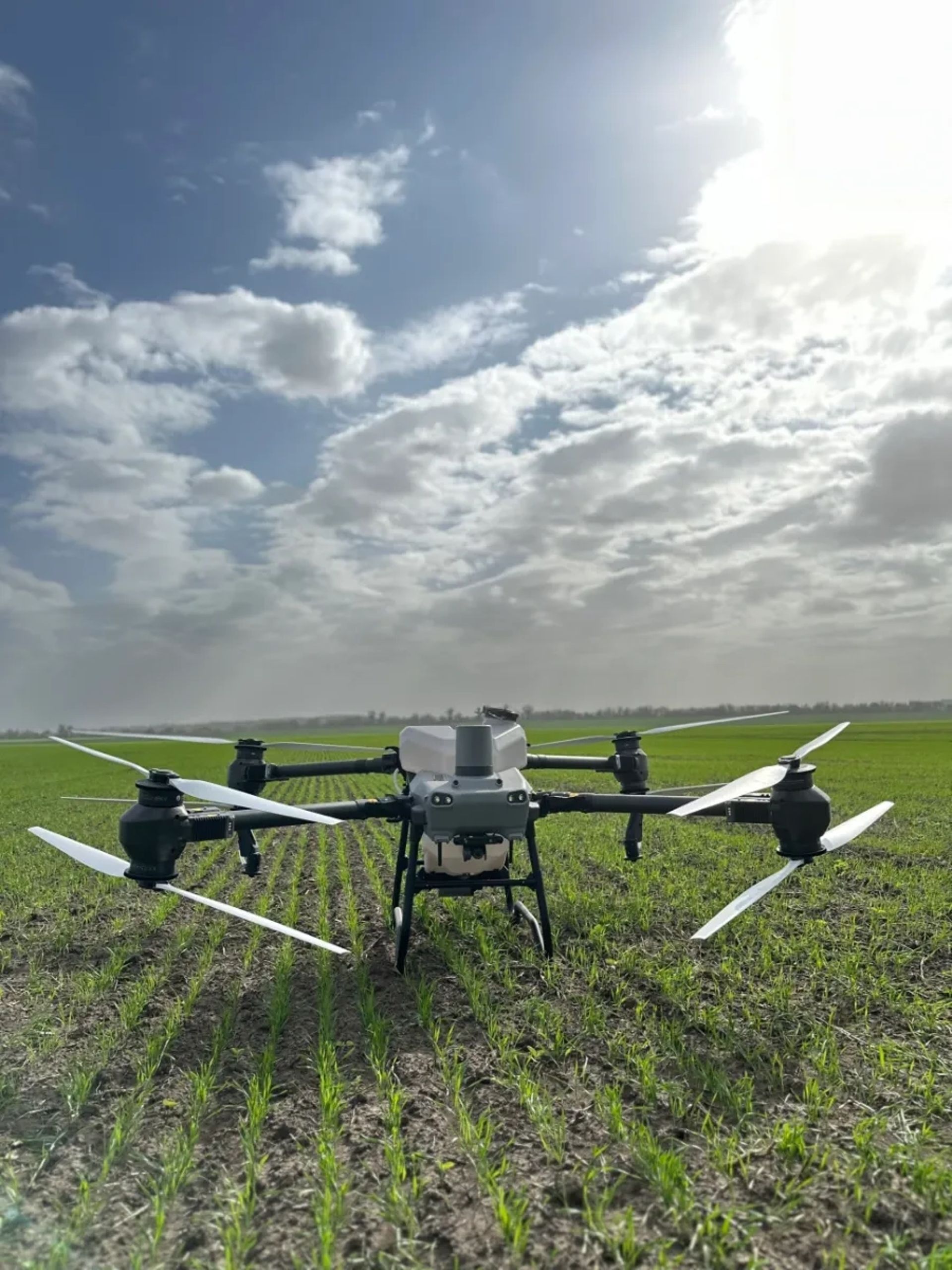 Агродрон DJI Agras T50 для розкидання посівного матеріалу